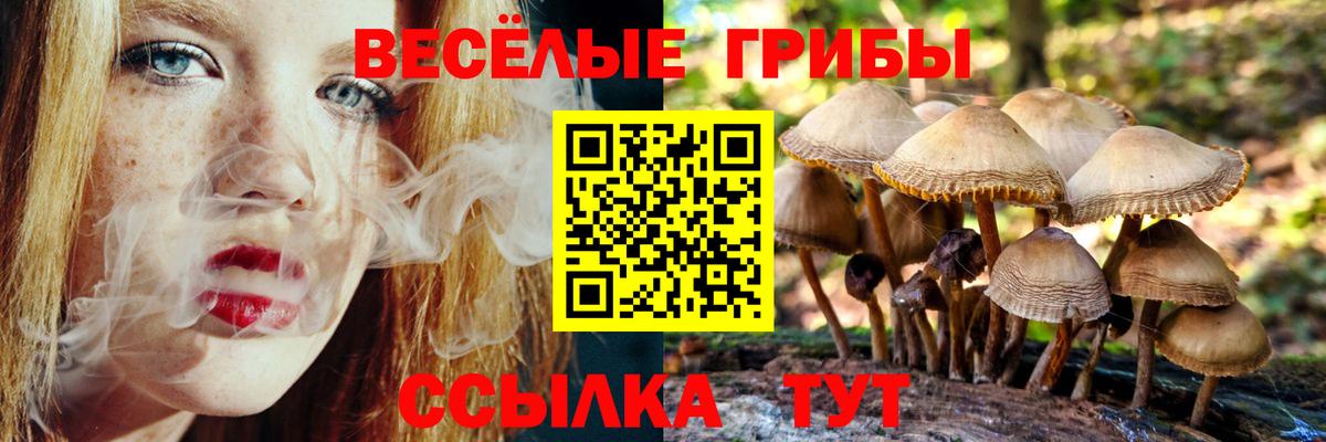 Галлюциногенные грибы Magic Shrooms  Вход с VPN  Ялуторовск 